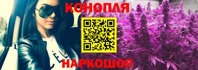 мяу мяу кристалл Малоярославец