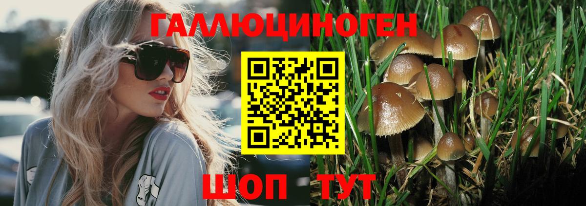 Псилоцибиновые грибы мухоморы Чита