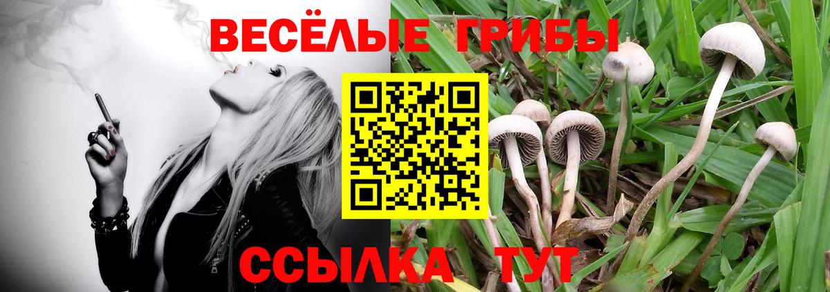 Псилоцибиновые грибы Magic Shrooms  Вход с VPN  Чита 
